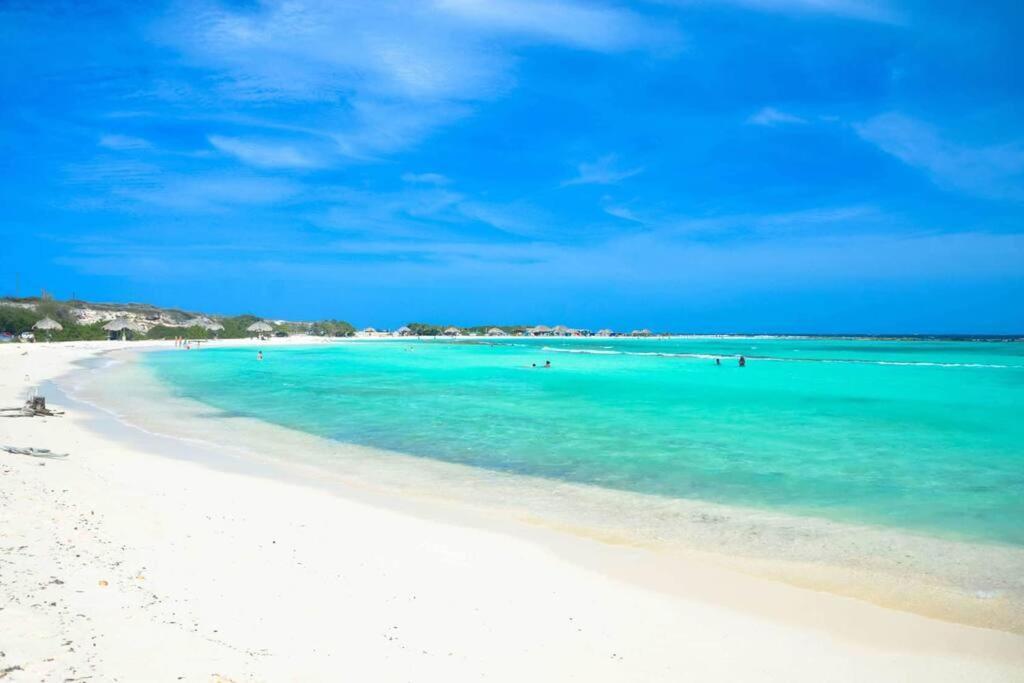 Cozy 1-Bedroom Apartment Minutes Away Drive To Mangel Halto Beach Savaneta エクステリア 写真