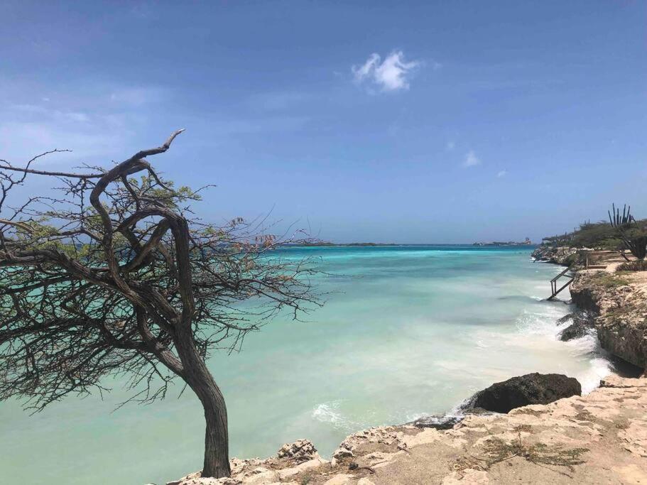 Cozy 1-Bedroom Apartment Minutes Away Drive To Mangel Halto Beach Savaneta エクステリア 写真
