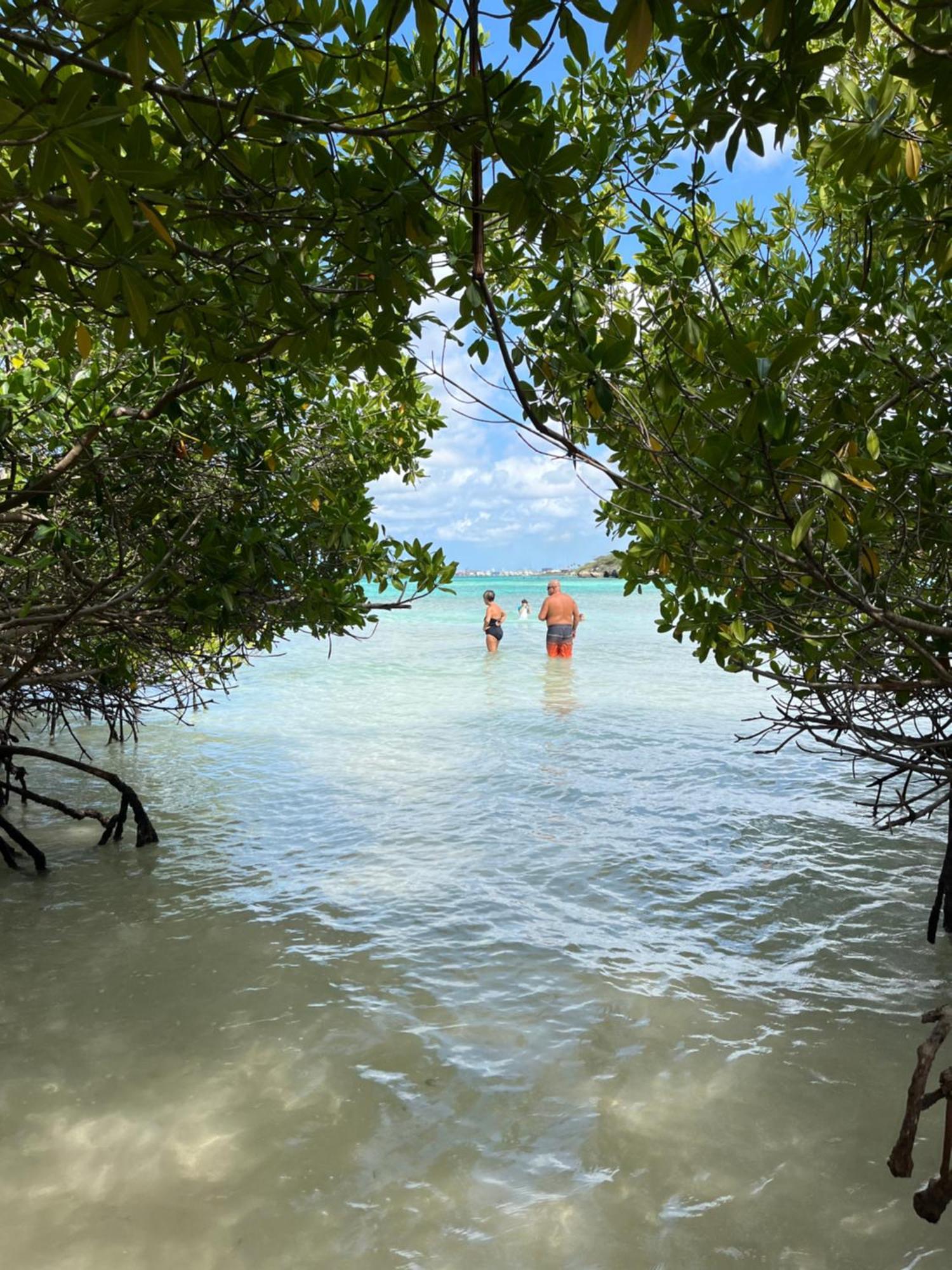 Cozy 1-Bedroom Apartment Minutes Away Drive To Mangel Halto Beach Savaneta エクステリア 写真